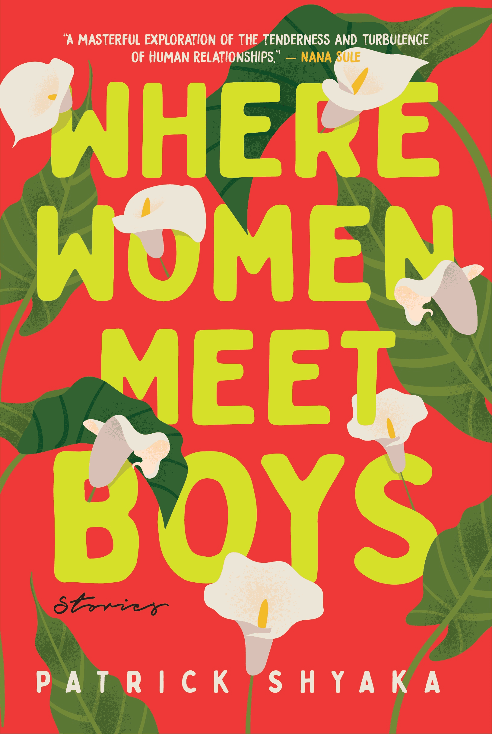 Where Women Meet Boys book cover
